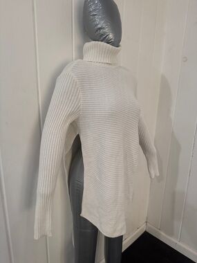 Express Cream Ribbed Turtleneck Sweater